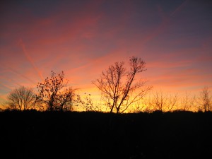 "Early Autumn Sunset", Charlottesville, Virginia